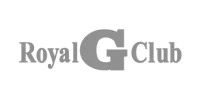 Visa partner logo